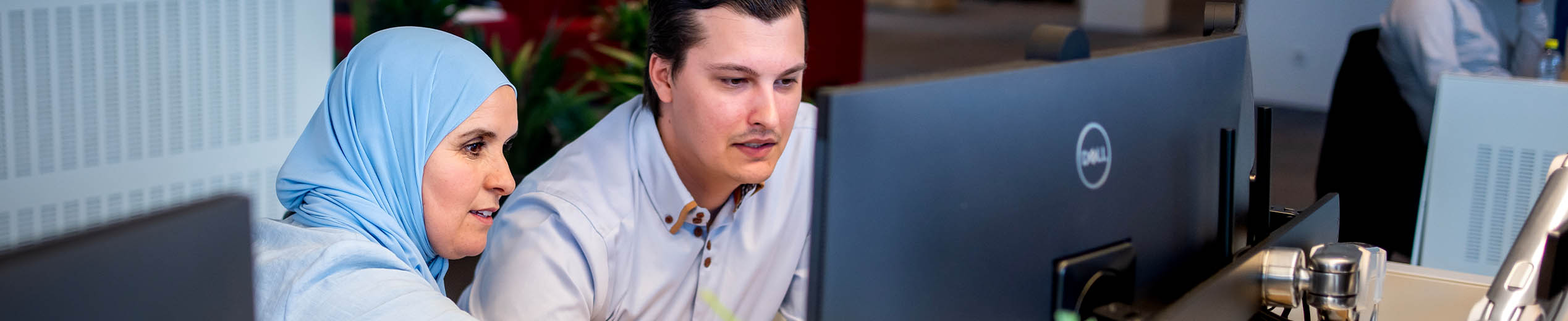 /bestanden/afbeeldingen/Loket/Header Subsidies.jpg